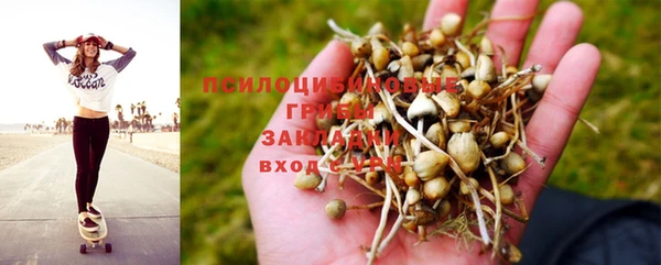 ALPHA PVP Богородск