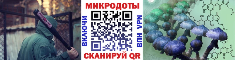 где можно купить   Реутов  Галлюциногенные грибы мухоморы 