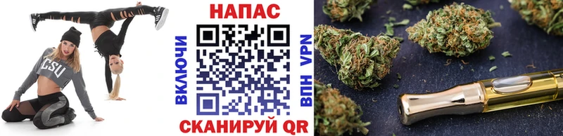 Конопля ГИДРОПОН Реутов